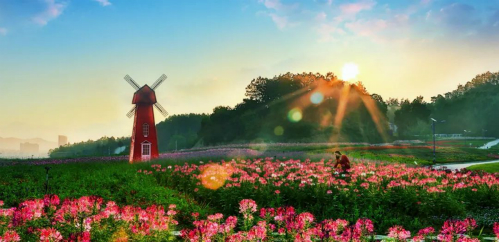 Ӣɽh쾰^hί干Ӣɽģʽ